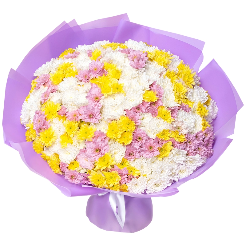 Букет из 101 кустовой хризантемы нежный микс