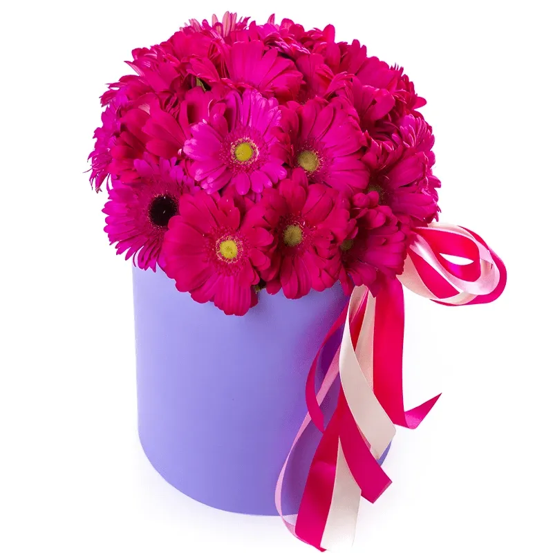 Цветы в коробке Шарлотта