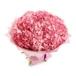 Гортензии розовые